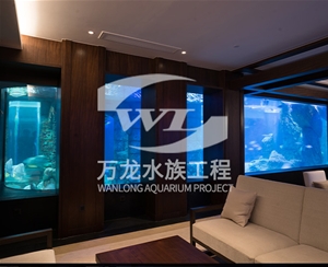 大型鱼缸缸体表面发黄怎么解决