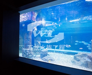 青海大型亚克力...