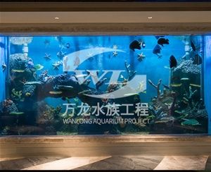 青海海底景观设计