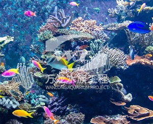 青海海底景观设计