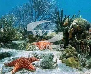 青海海底景观设计