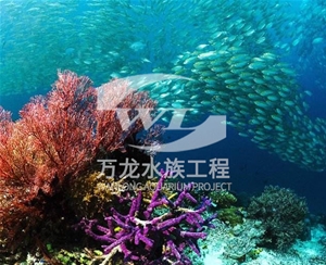 青海海底景观设计