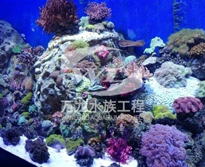 青海海底景观设计